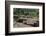 Africa, Ethiopian Highlands, Eastern Amhara, Lalibela, St-Ellen Goff-Framed Photographic Print