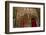 Africa, Ethiopian Highlands, Western Amhara, Gondar-Ellen Goff-Framed Photographic Print