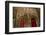 Africa, Ethiopian Highlands, Western Amhara, Gondar-Ellen Goff-Framed Photographic Print