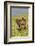 Africa, Ethiopian Highlands, Western Amhara, Simien Mountains National Park-Ellen Goff-Framed Photographic Print