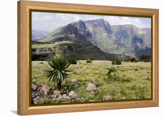 Africa, Ethiopian Highlands, Western Amhara, Simien Mountains National Park-Ellen Goff-Framed Premier Image Canvas