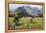 Africa, Ethiopian Highlands, Western Amhara, Simien Mountains National Park-Ellen Goff-Framed Premier Image Canvas