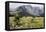 Africa, Ethiopian Highlands, Western Amhara, Simien Mountains National Park-Ellen Goff-Framed Premier Image Canvas