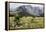 Africa, Ethiopian Highlands, Western Amhara, Simien Mountains National Park-Ellen Goff-Framed Premier Image Canvas