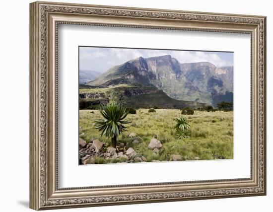 Africa, Ethiopian Highlands, Western Amhara, Simien Mountains National Park-Ellen Goff-Framed Photographic Print
