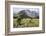 Africa, Ethiopian Highlands, Western Amhara, Simien Mountains National Park-Ellen Goff-Framed Photographic Print