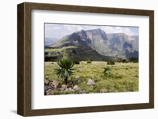 Africa, Ethiopian Highlands, Western Amhara, Simien Mountains National Park-Ellen Goff-Framed Photographic Print