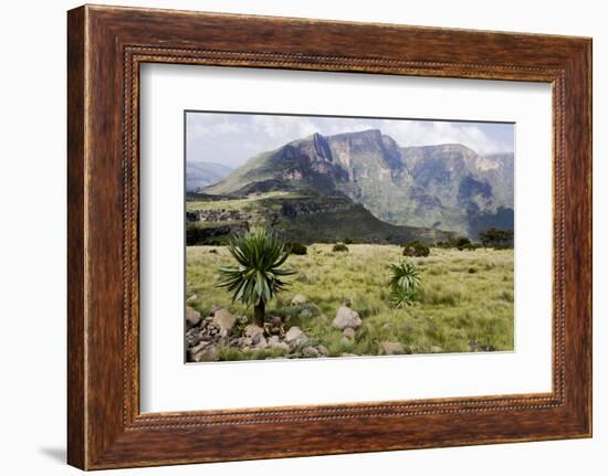 Africa, Ethiopian Highlands, Western Amhara, Simien Mountains National Park-Ellen Goff-Framed Photographic Print