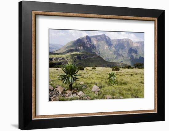 Africa, Ethiopian Highlands, Western Amhara, Simien Mountains National Park-Ellen Goff-Framed Photographic Print