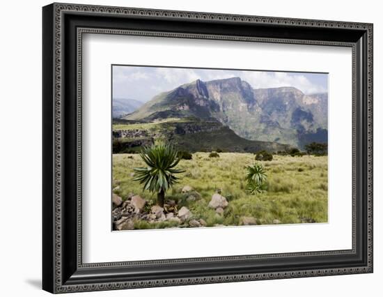 Africa, Ethiopian Highlands, Western Amhara, Simien Mountains National Park-Ellen Goff-Framed Photographic Print