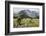 Africa, Ethiopian Highlands, Western Amhara, Simien Mountains National Park-Ellen Goff-Framed Photographic Print