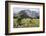 Africa, Ethiopian Highlands, Western Amhara, Simien Mountains National Park-Ellen Goff-Framed Photographic Print