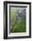 Africa, Ethiopian Highlands, Western Amhara-Ellen Goff-Framed Photographic Print