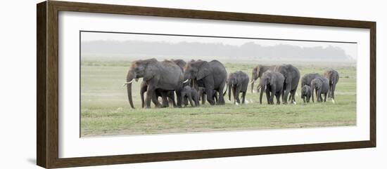 Africa, Kenya, Amboseli National Park. Elephants on the march.-Jaynes Gallery-Framed Photographic Print