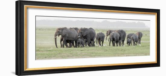 Africa, Kenya, Amboseli National Park. Elephants on the march.-Jaynes Gallery-Framed Photographic Print