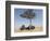 Africa, Kenya, Maasai Mara National Reserve. Tourists having lunch on Maasai Mara.-Jaynes Gallery-Framed Photographic Print