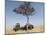 Africa, Kenya, Maasai Mara National Reserve. Tourists having lunch on Maasai Mara.-Jaynes Gallery-Mounted Photographic Print