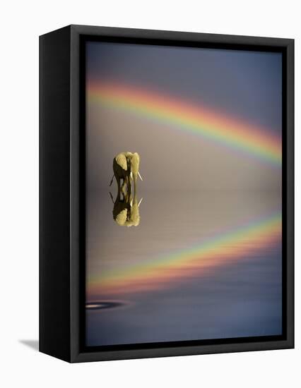 Africa, Kenya, Masai Mara Game Reserve. Composite of Bull Elephant, Water and Rainbow-Jaynes Gallery-Framed Premier Image Canvas