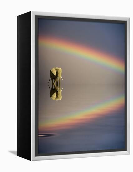 Africa, Kenya, Masai Mara Game Reserve. Composite of Bull Elephant, Water and Rainbow-Jaynes Gallery-Framed Premier Image Canvas