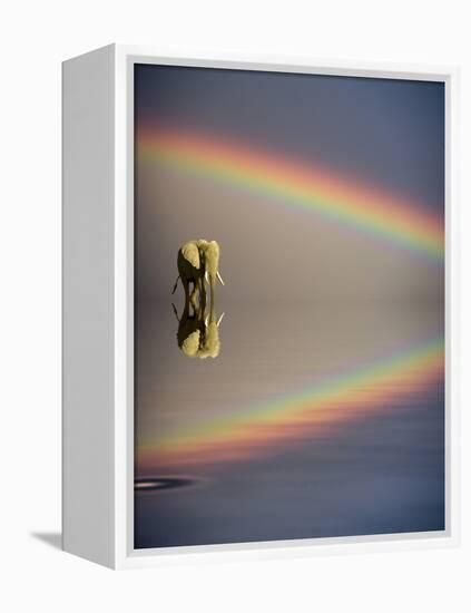 Africa, Kenya, Masai Mara Game Reserve. Composite of Bull Elephant, Water and Rainbow-Jaynes Gallery-Framed Premier Image Canvas