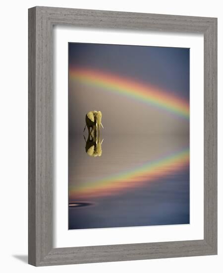 Africa, Kenya, Masai Mara Game Reserve. Composite of Bull Elephant, Water and Rainbow-Jaynes Gallery-Framed Photographic Print