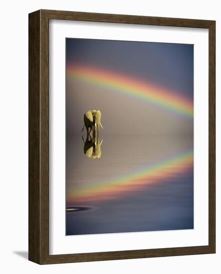 Africa, Kenya, Masai Mara Game Reserve. Composite of Bull Elephant, Water and Rainbow-Jaynes Gallery-Framed Photographic Print