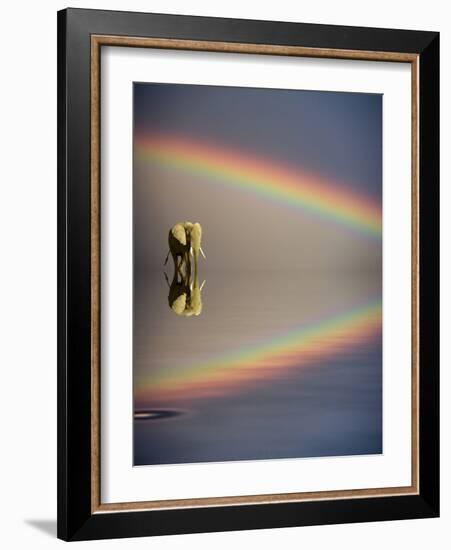 Africa, Kenya, Masai Mara Game Reserve. Composite of Bull Elephant, Water and Rainbow-Jaynes Gallery-Framed Photographic Print