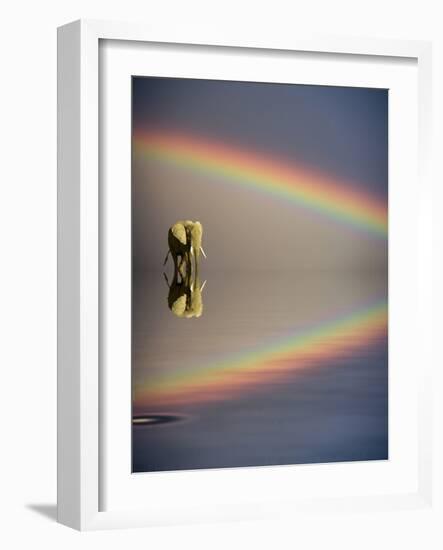 Africa, Kenya, Masai Mara Game Reserve. Composite of Bull Elephant, Water and Rainbow-Jaynes Gallery-Framed Photographic Print