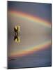 Africa, Kenya, Masai Mara Game Reserve. Composite of Bull Elephant, Water and Rainbow-Jaynes Gallery-Mounted Photographic Print