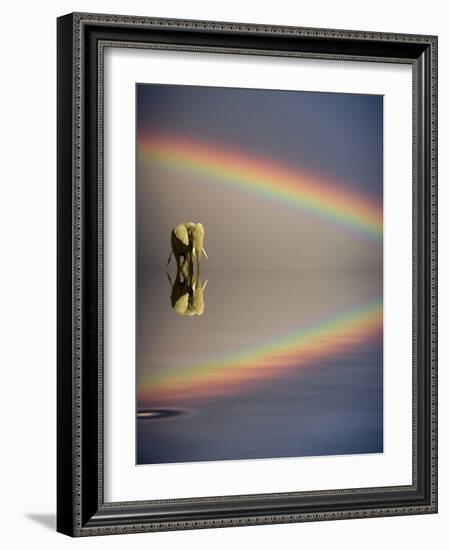 Africa, Kenya, Masai Mara Game Reserve. Composite of Bull Elephant, Water and Rainbow-Jaynes Gallery-Framed Photographic Print