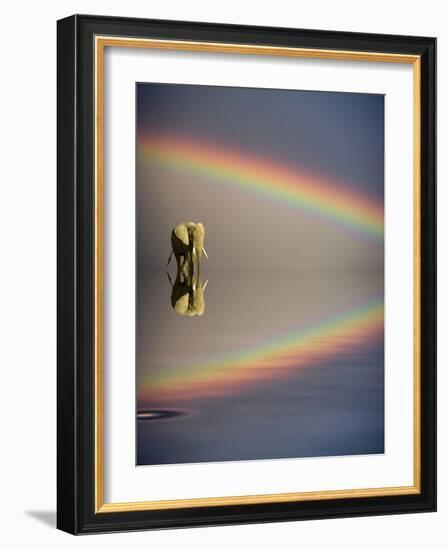 Africa, Kenya, Masai Mara Game Reserve. Composite of Bull Elephant, Water and Rainbow-Jaynes Gallery-Framed Photographic Print