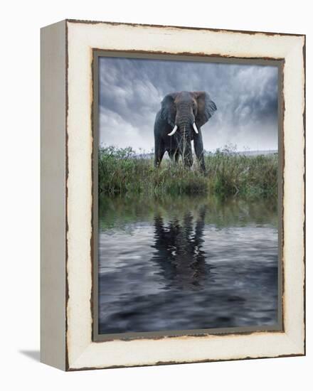 Africa, Kenya, Masai Mara Game Reserve. Composite of Elephant Reflecting in Water-Jaynes Gallery-Framed Premier Image Canvas