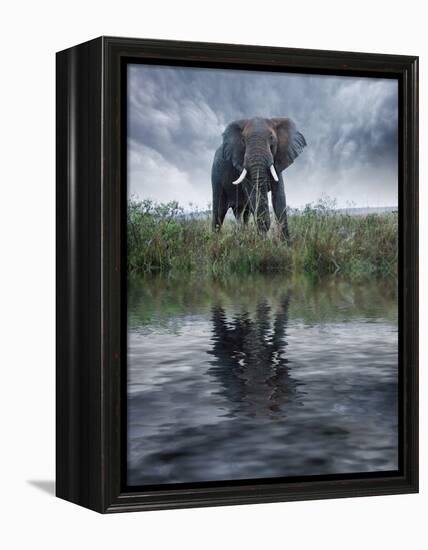 Africa, Kenya, Masai Mara Game Reserve. Composite of Elephant Reflecting in Water-Jaynes Gallery-Framed Premier Image Canvas