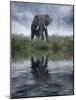 Africa, Kenya, Masai Mara Game Reserve. Composite of Elephant Reflecting in Water-Jaynes Gallery-Mounted Photographic Print