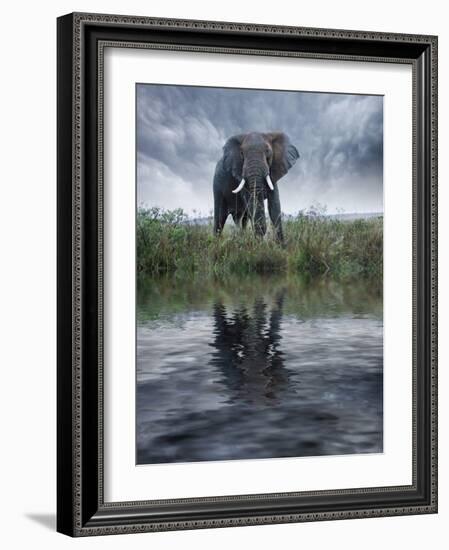 Africa, Kenya, Masai Mara Game Reserve. Composite of Elephant Reflecting in Water-Jaynes Gallery-Framed Photographic Print