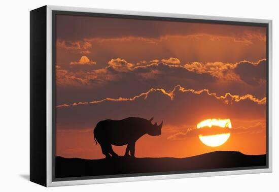 Africa, Kenya, Masai Mara Game Reserve. Composite of White Rhino Silhouette and Sunset-Jaynes Gallery-Framed Premier Image Canvas