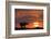 Africa, Kenya, Masai Mara Game Reserve. Composite of White Rhino Silhouette and Sunset-Jaynes Gallery-Framed Photographic Print