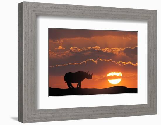 Africa, Kenya, Masai Mara Game Reserve. Composite of White Rhino Silhouette and Sunset-Jaynes Gallery-Framed Photographic Print