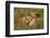 Africa, Kenya, Masai Mara National Reserve. African Lion female with cubs.-Emily Wilson-Framed Photographic Print