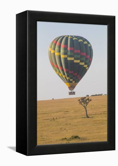 Africa, Kenya, Masai Mara National Reserve. Hot air balloon over savannah.-Emily Wilson-Framed Premier Image Canvas