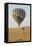 Africa, Kenya, Masai Mara National Reserve. Hot air balloon over savannah.-Emily Wilson-Framed Premier Image Canvas