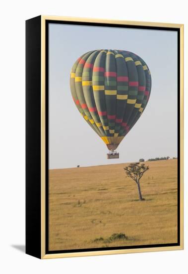 Africa, Kenya, Masai Mara National Reserve. Hot air balloon over savannah.-Emily Wilson-Framed Premier Image Canvas