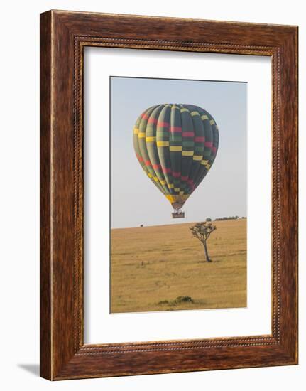 Africa, Kenya, Masai Mara National Reserve. Hot air balloon over savannah.-Emily Wilson-Framed Photographic Print