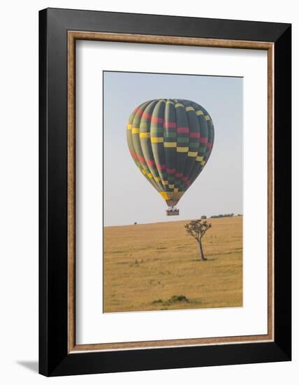 Africa, Kenya, Masai Mara National Reserve. Hot air balloon over savannah.-Emily Wilson-Framed Photographic Print