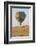 Africa, Kenya, Masai Mara National Reserve. Hot air balloon over savannah.-Emily Wilson-Framed Photographic Print