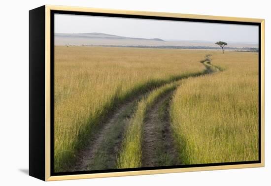 Africa, Kenya, Masai Mara National Reserve. Savannah with tire tracks.-Emily Wilson-Framed Premier Image Canvas