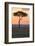 Africa, Kenya, Masai Mara National Reserve. Sunset over tree.-Emily Wilson-Framed Photographic Print