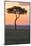 Africa, Kenya, Masai Mara National Reserve. Sunset over tree.-Emily Wilson-Mounted Photographic Print