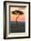 Africa, Kenya, Masai Mara National Reserve. Sunset over tree.-Emily Wilson-Framed Photographic Print