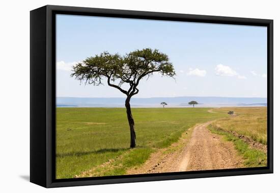 Africa, Kenya, Masai Mara National Reserve.-Emily Wilson-Framed Premier Image Canvas